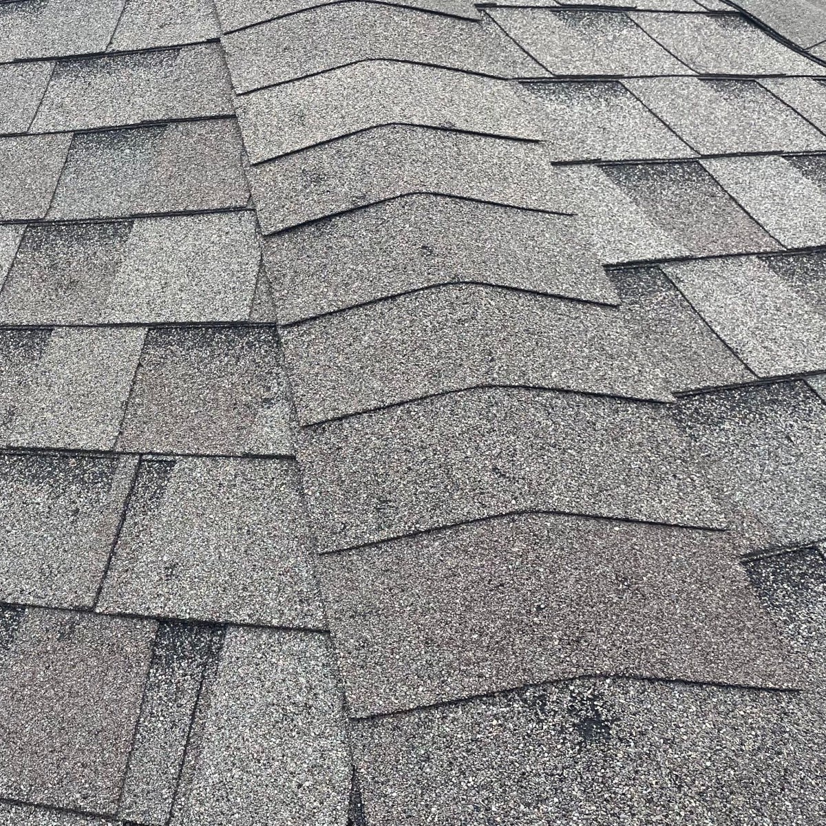 Hail damage on shingles